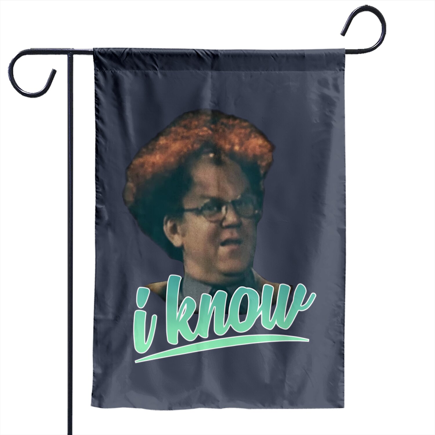 Check It Out! Dr. Steve Brule I Know Garden Flag
