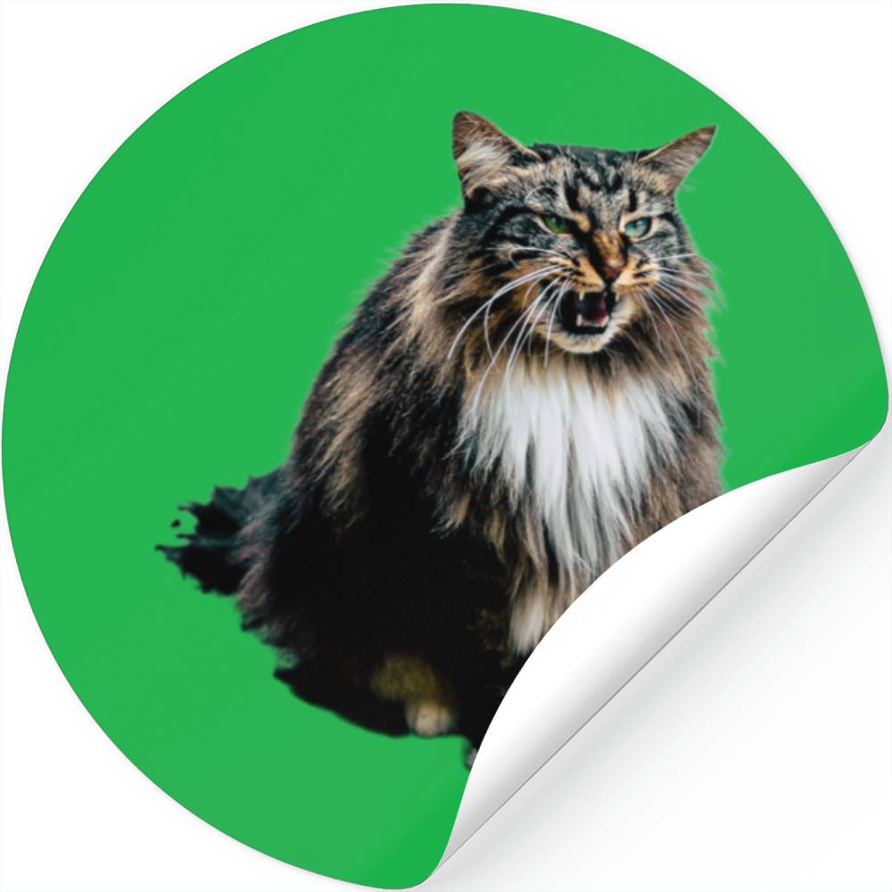 Cat Stickers