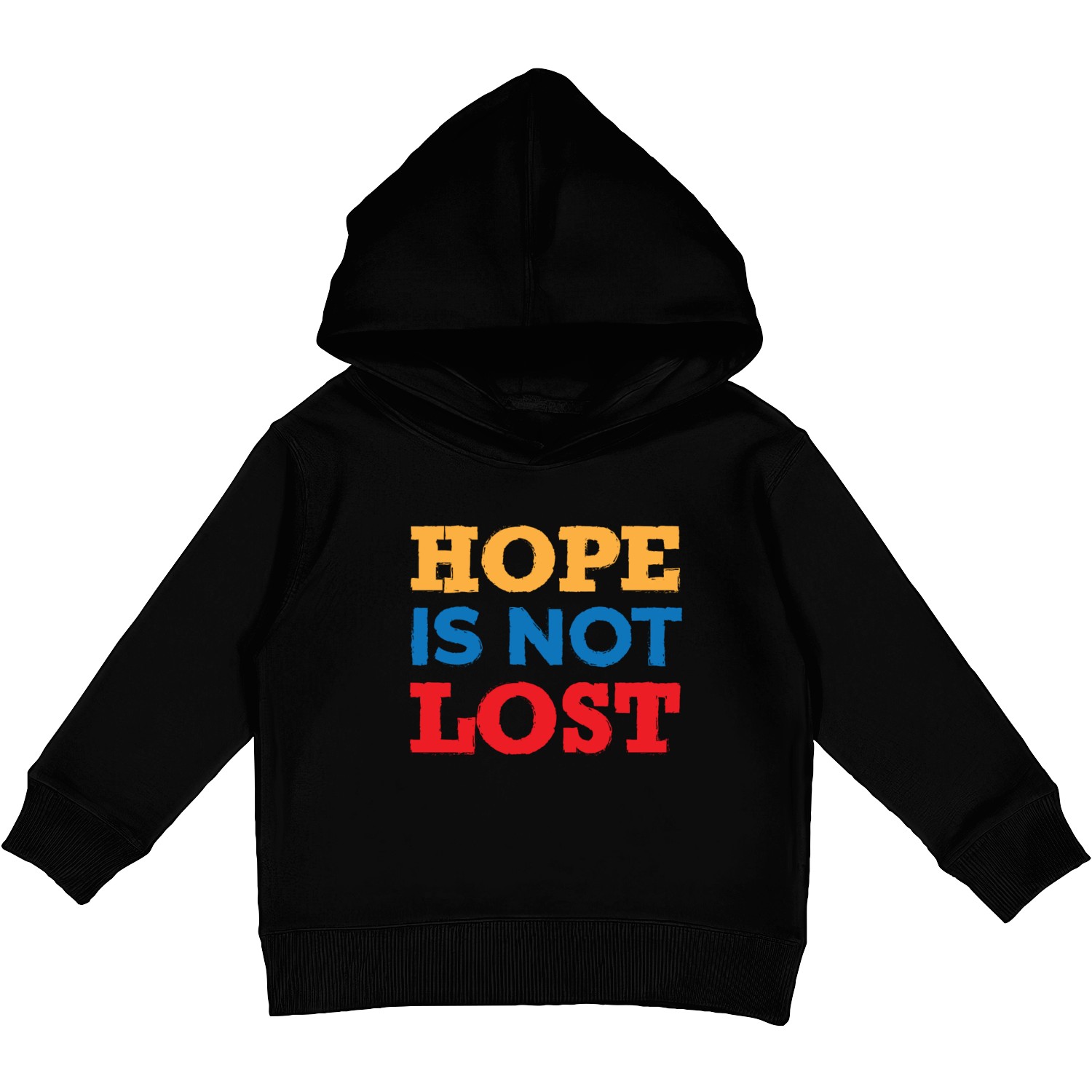 Hope Is Not Lost Kids Pullover Hoodies