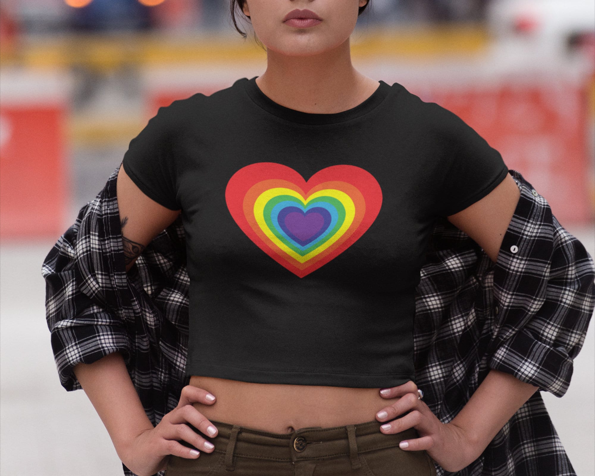 Gay Shirt, Human Rights Shirt, Equality Shirt, LGBTQ Crop Top, Pride Crop Top