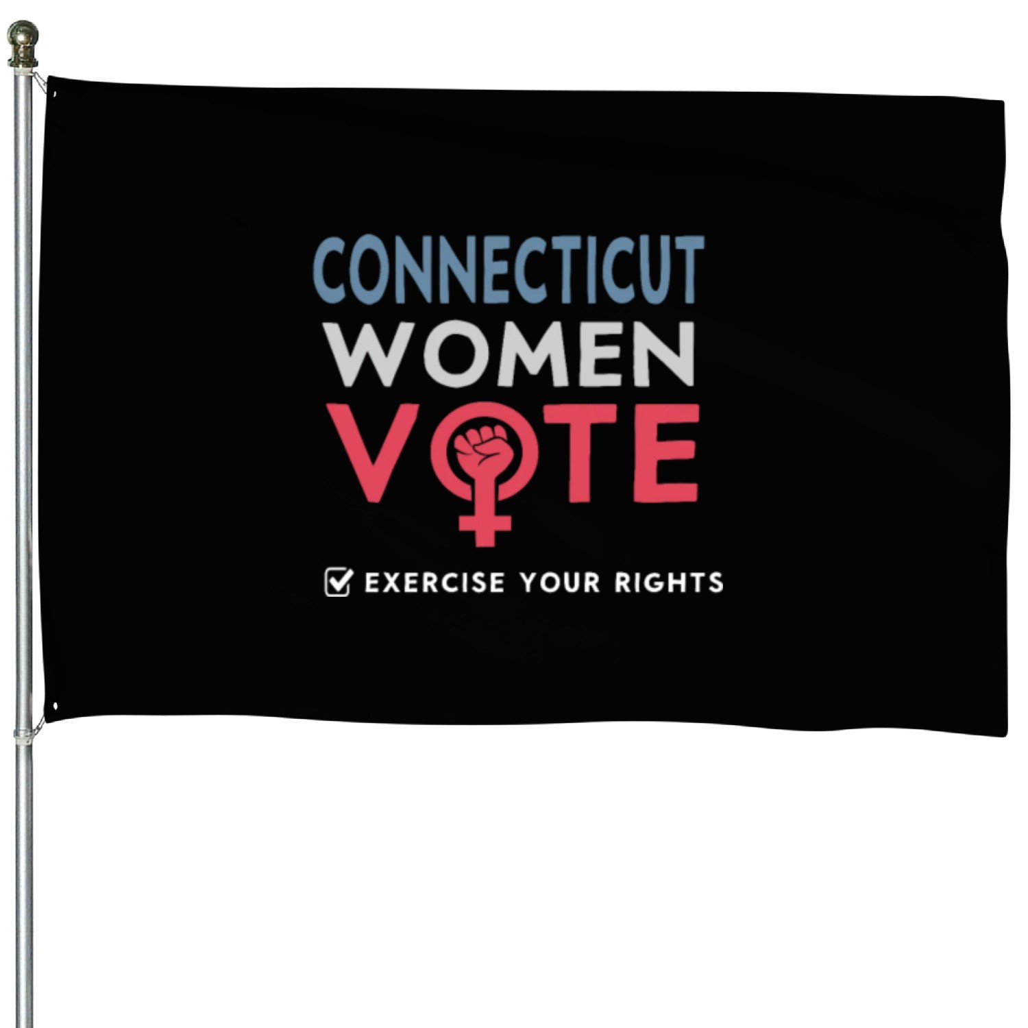 Connecticut Women Vote Voter 2022 Election House Flags