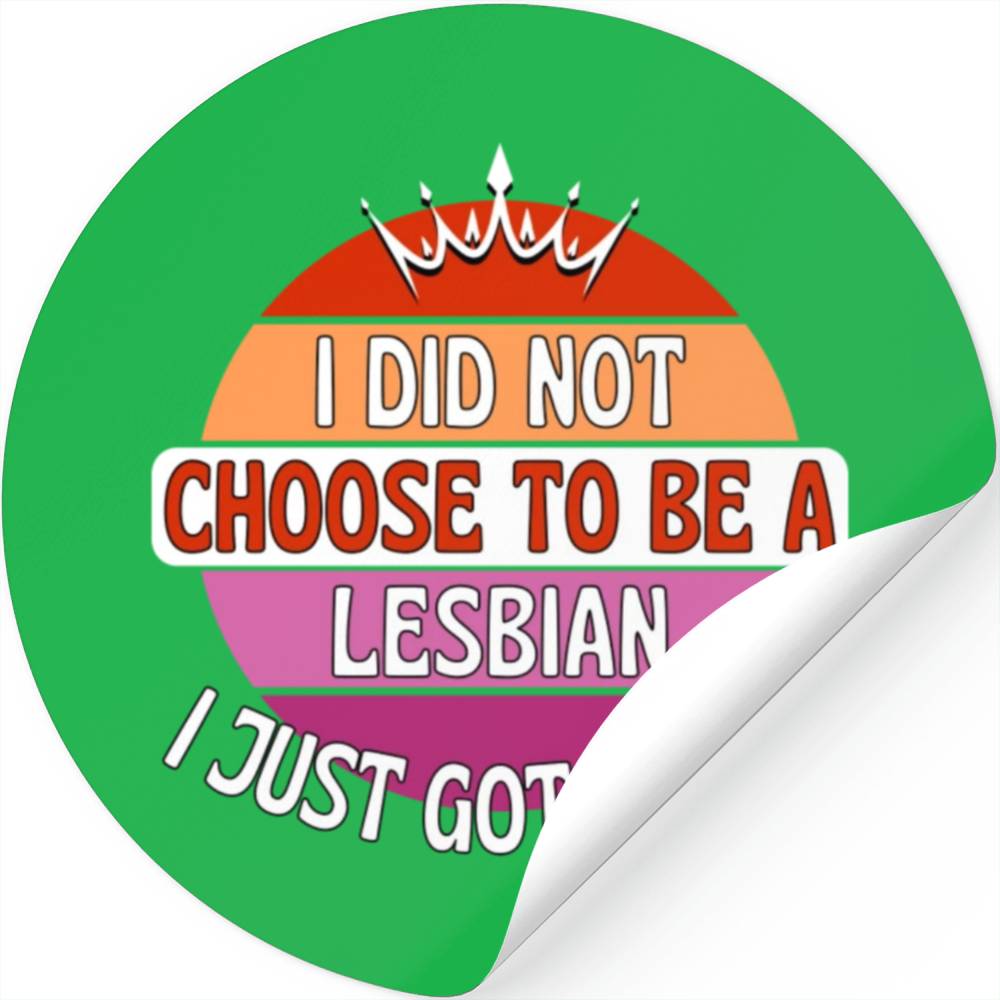 I did not choose to be a lesbian I just got lucky Stickers