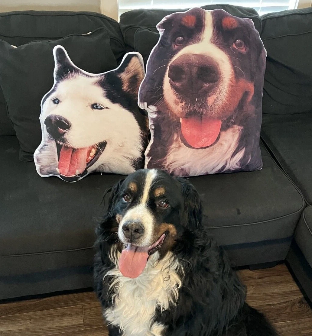 Custom Dog Photo Shaped Throw Pillow Plush Pet Cat Personalized Picture Memorial