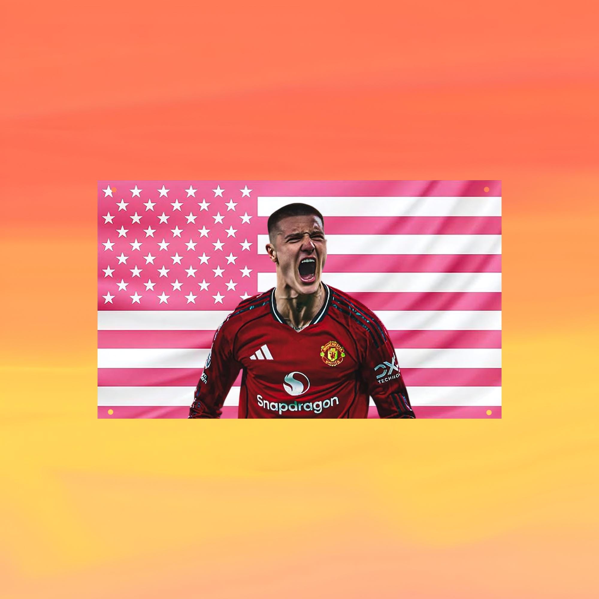 Benjamin Sesko Pink US Wall Tapestry Flag, Football Wall Art, Soccer Bedroom Decor, Sports Fan Banner