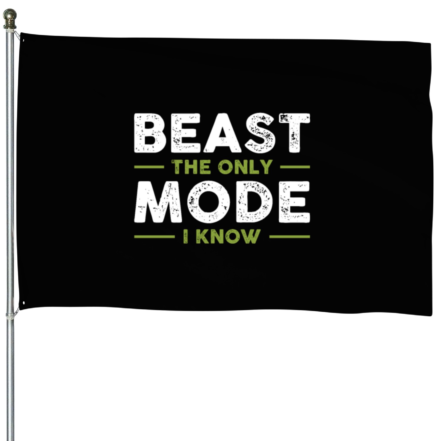 BEAST The Only Mode I Know House Flags