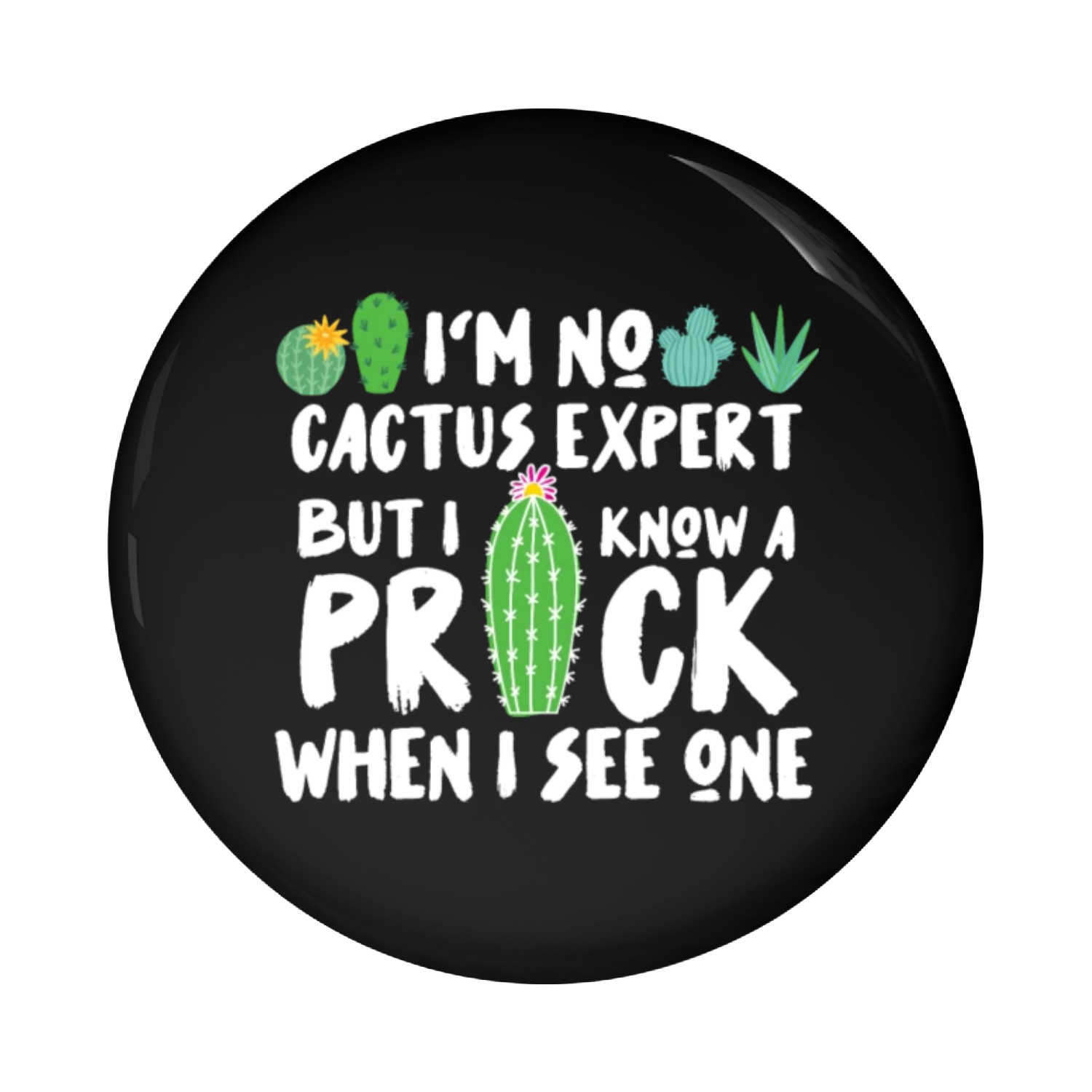 I'm No Cactus Expert Pun Gardening Succulent Pin Buttons