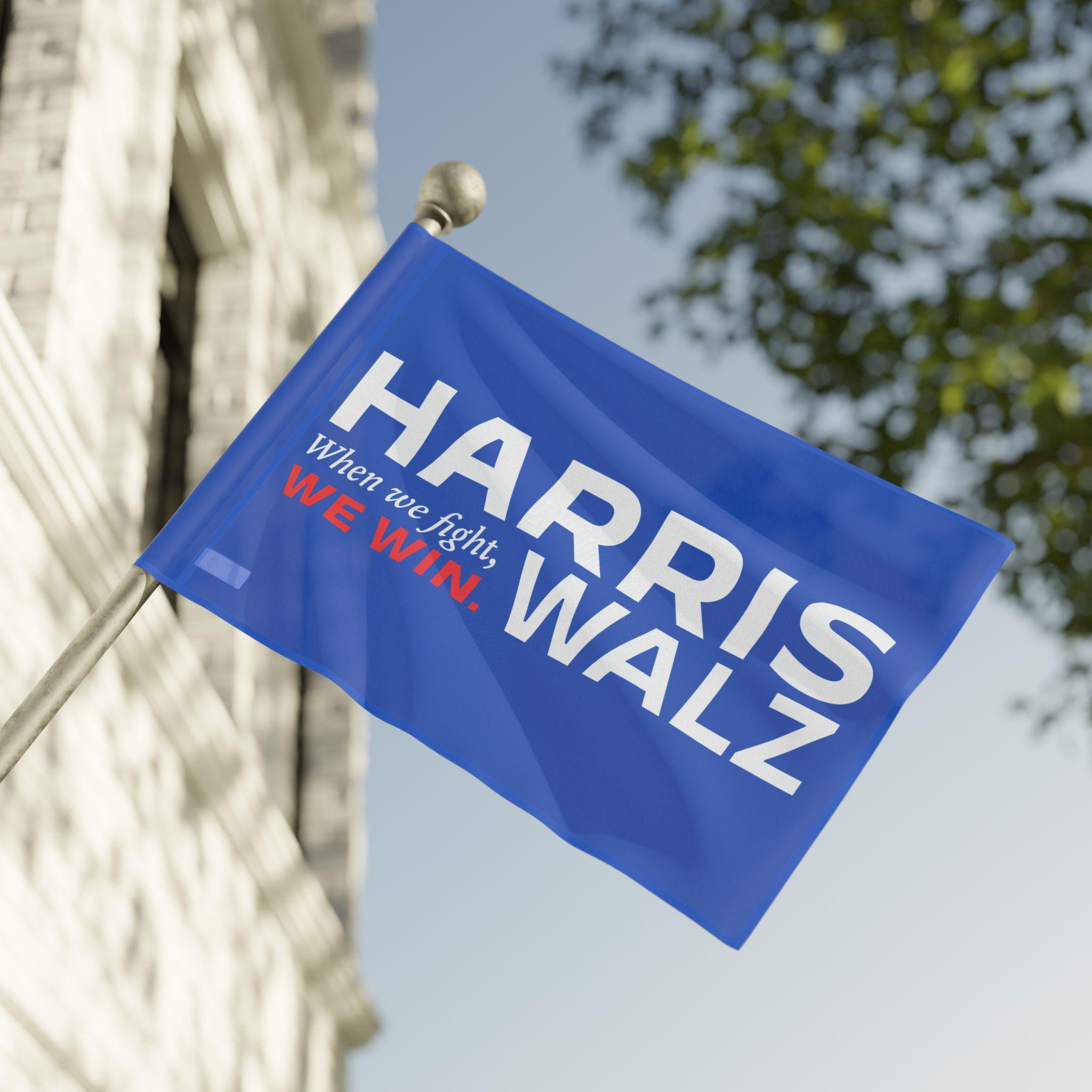 Kamala Harris Walz House Flag Horizontal, Satin Outdoor One-sided, 2024 Election Vice