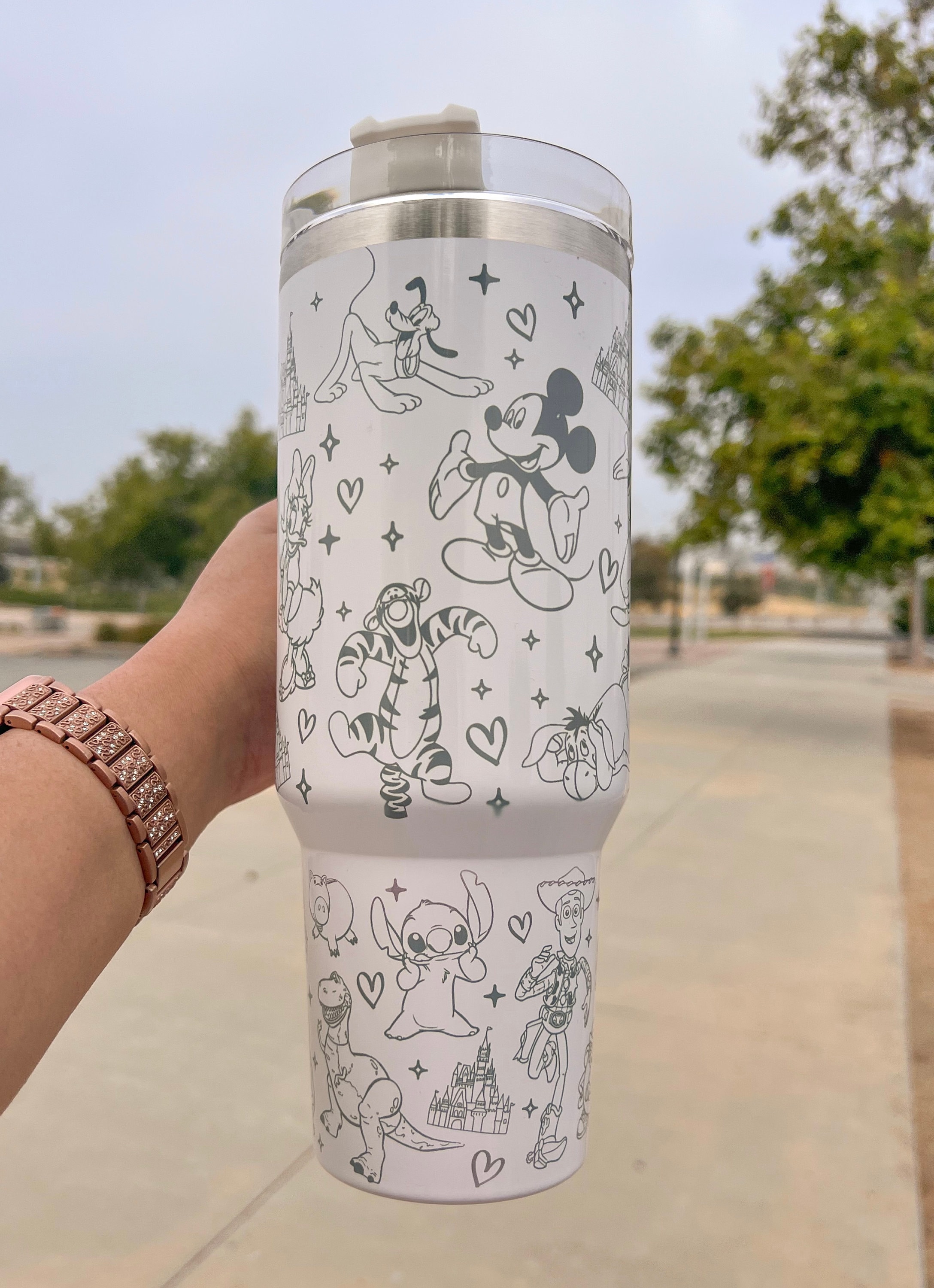 B&W Magic park 40 oz tumbler | 40 oz tumbler