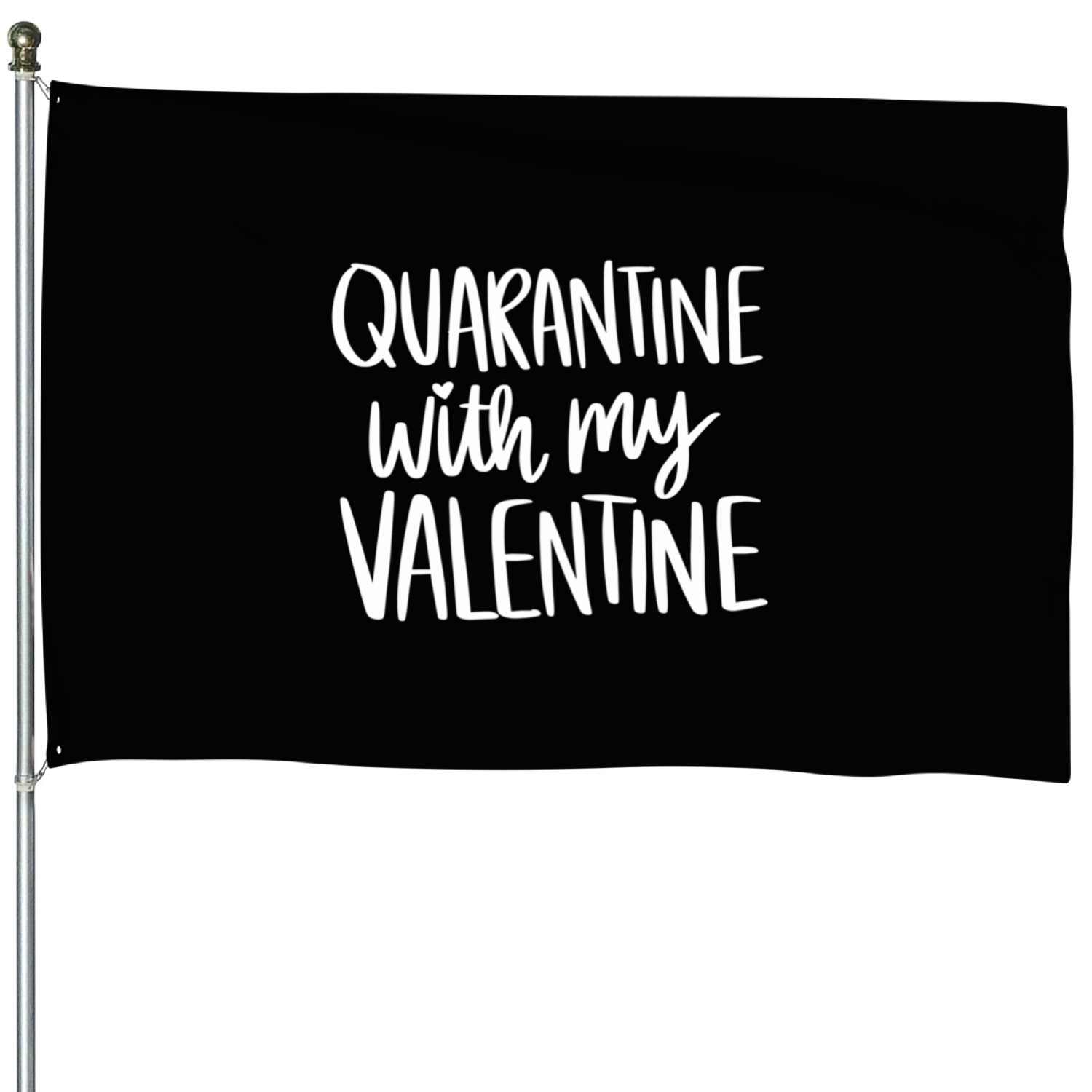 Quarantine With My Valentine Valentines Day 2023 House Flags