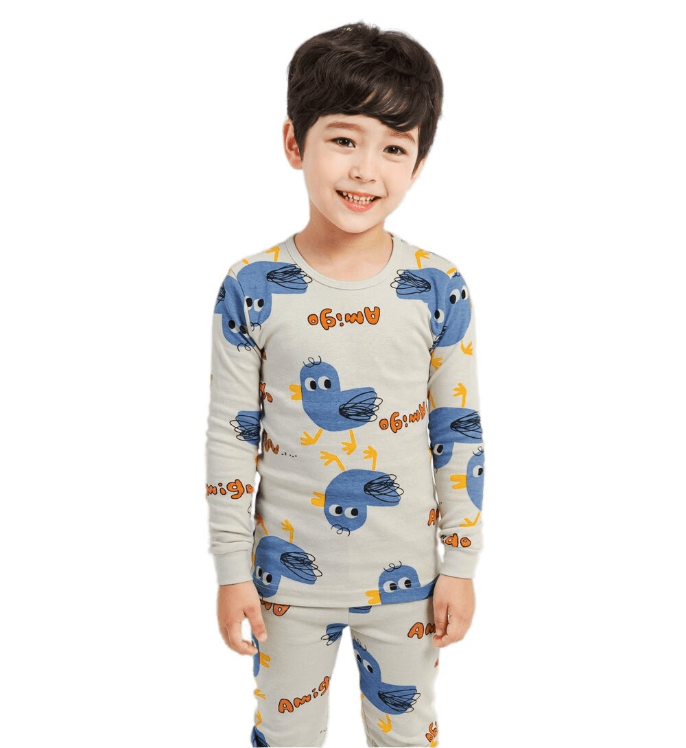 blue bird pajamas, kids pajama set, Pajama set for boys and girls, Dino pajamas, Korean pajamas