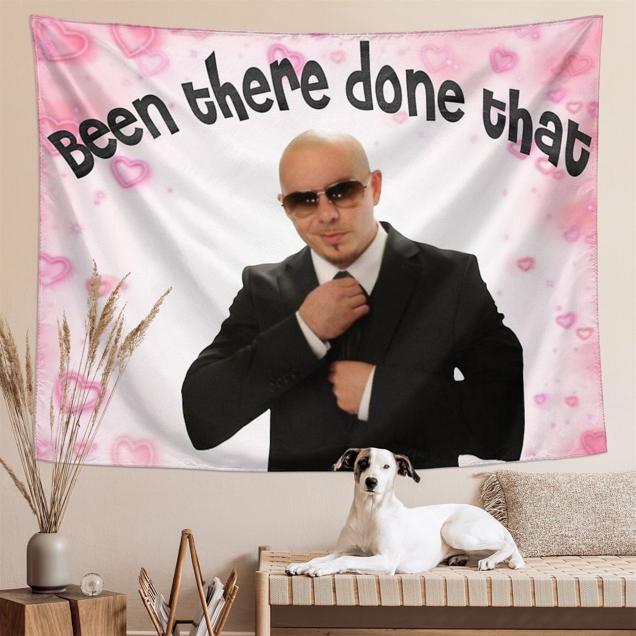 Been There Done That Tapestry Mr. Worldwide Aesthetic Teen Humor Decor Tapestries