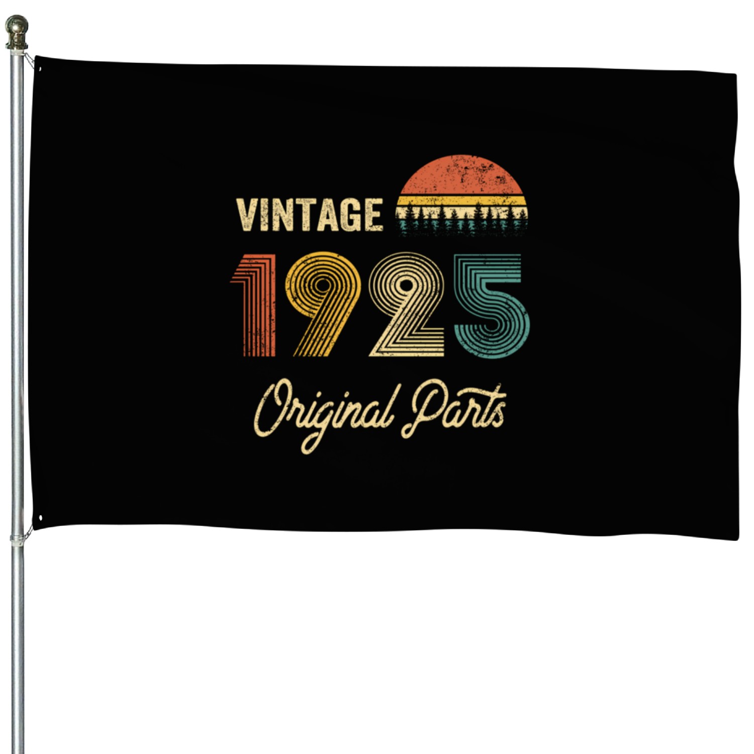 1925 Made In 1925 95Th 95 House Flags
