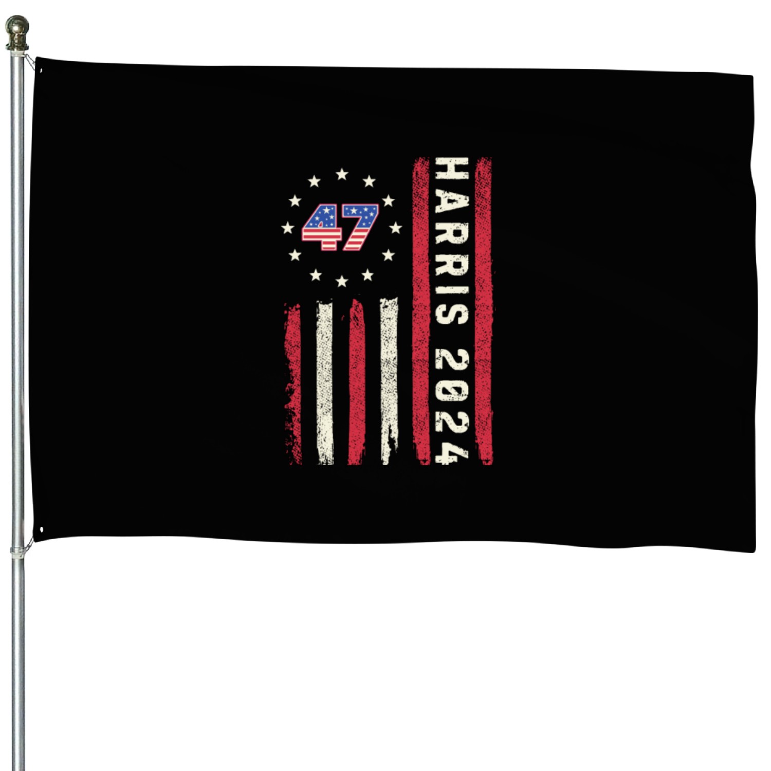 Kamala Harris For President 2024 House Flags