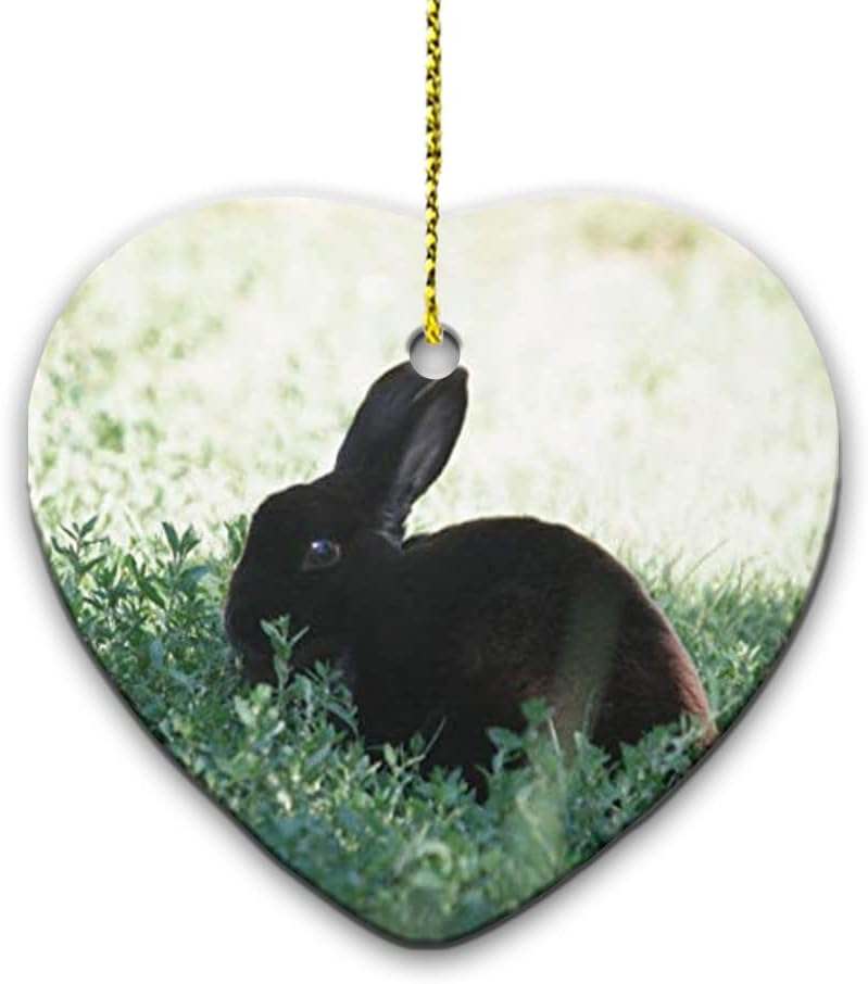Lil Black Bunny Ceramic Ornament
