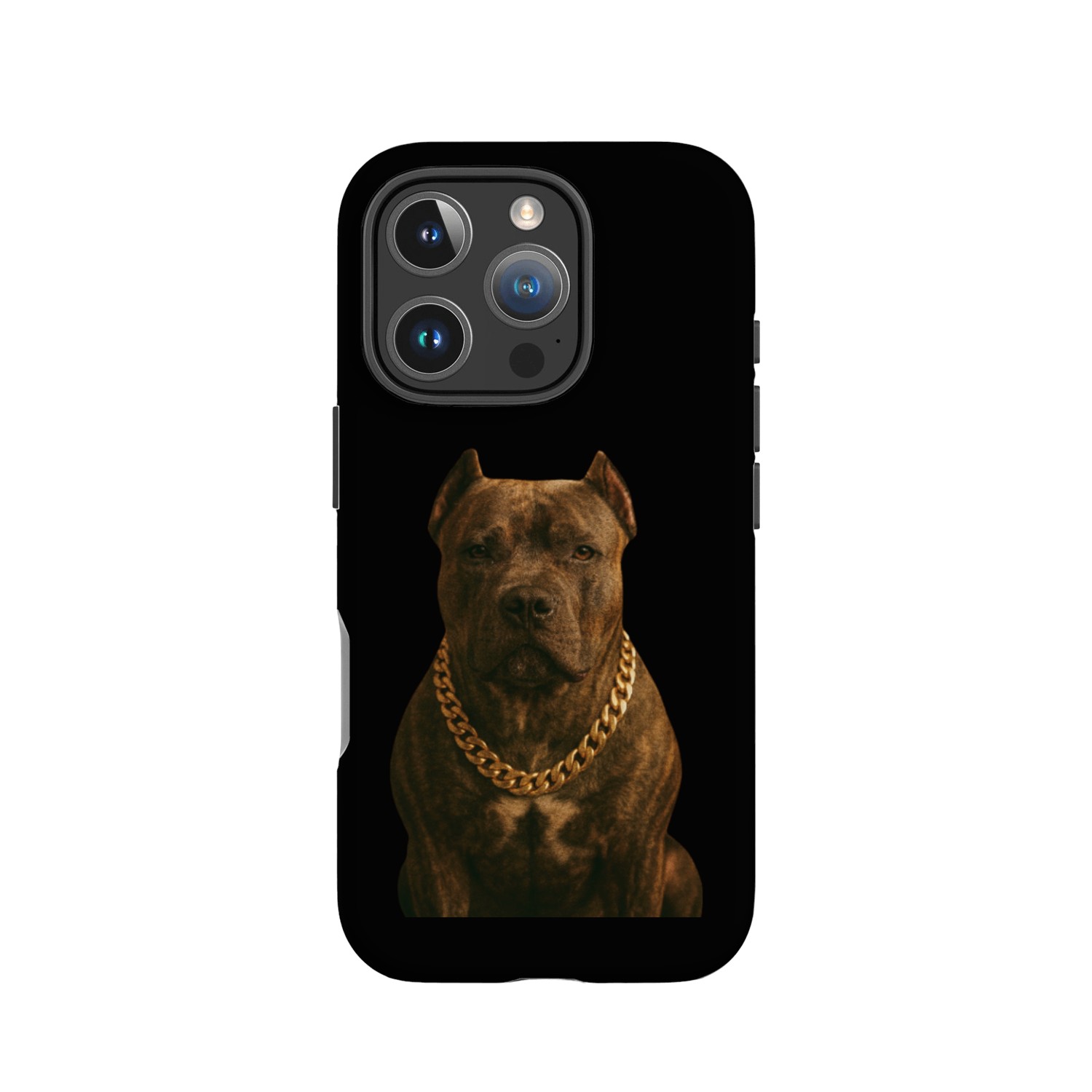 Golden Chain Bodyguard IPhone Cases