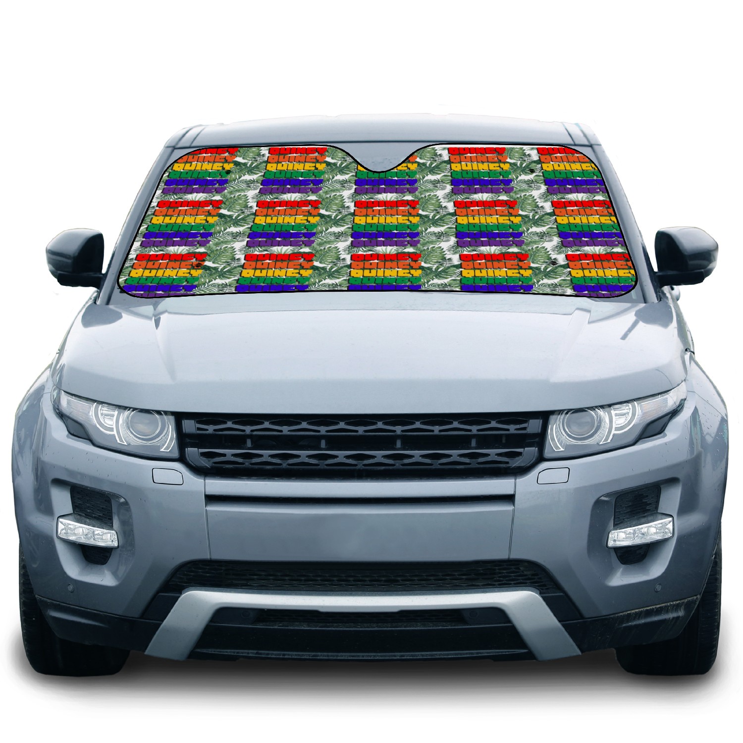 Quincy Rainbow Type Car Sun Shades