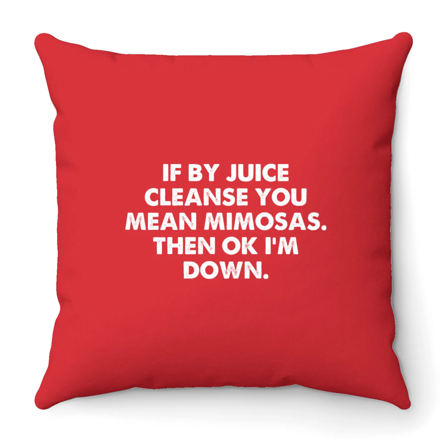 If By Juice Cleanse You Mean Mimosas. Throw Pillows
