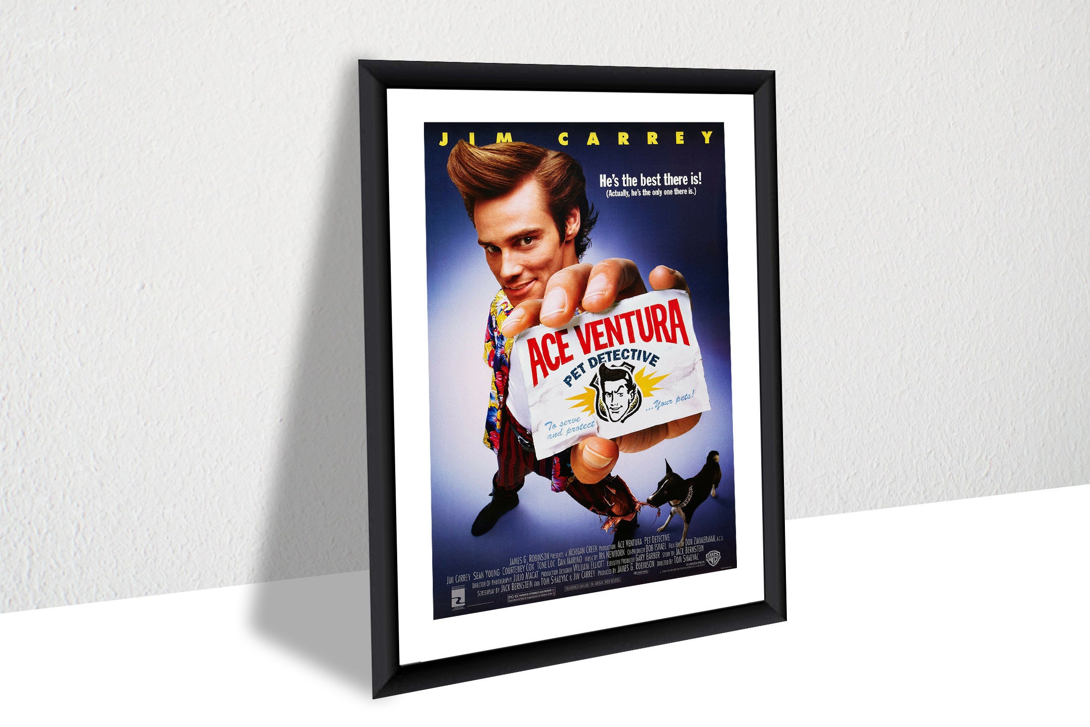 Ace Ventura; Pet Detective Movie Poster Room Decor, Home Decor, Movie Poster for Gift