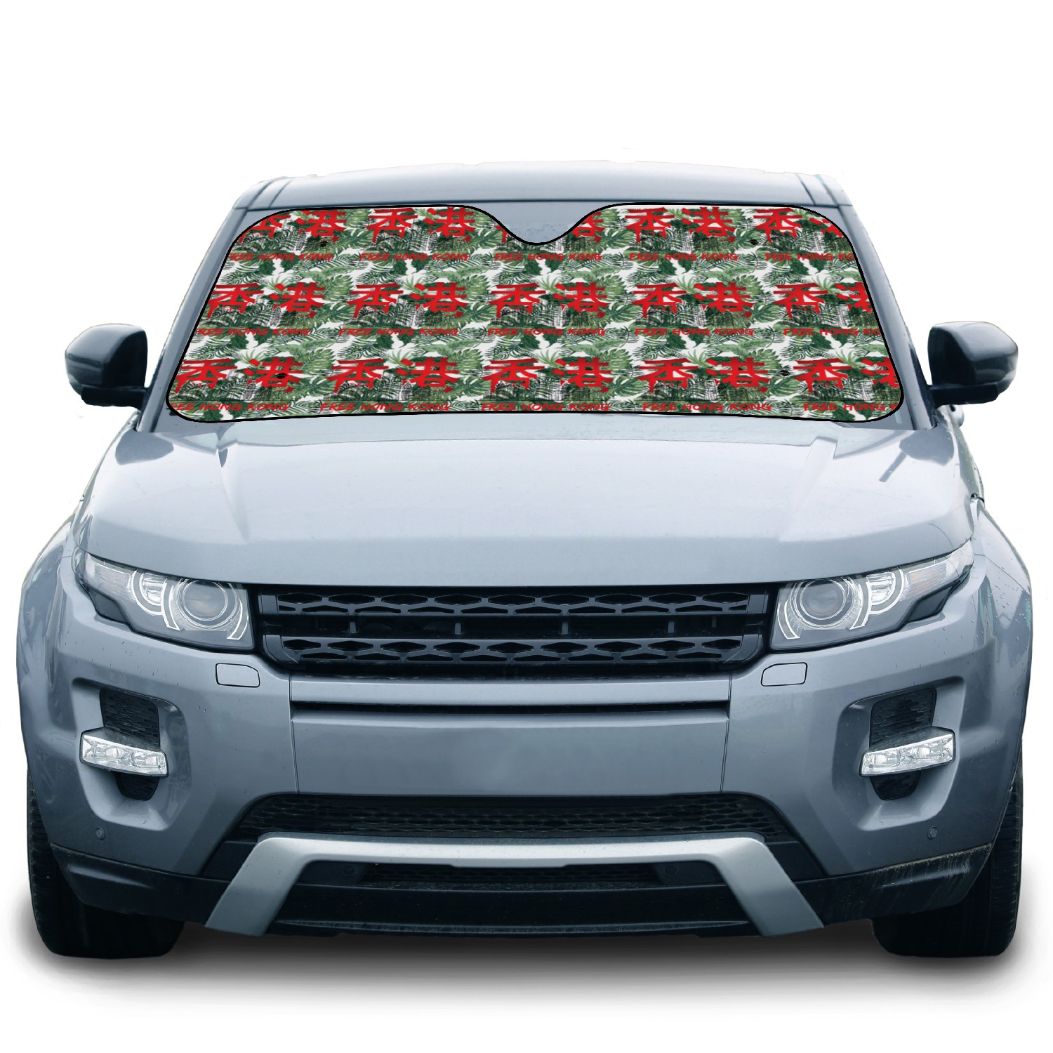 Free Hong Car Sun Shades