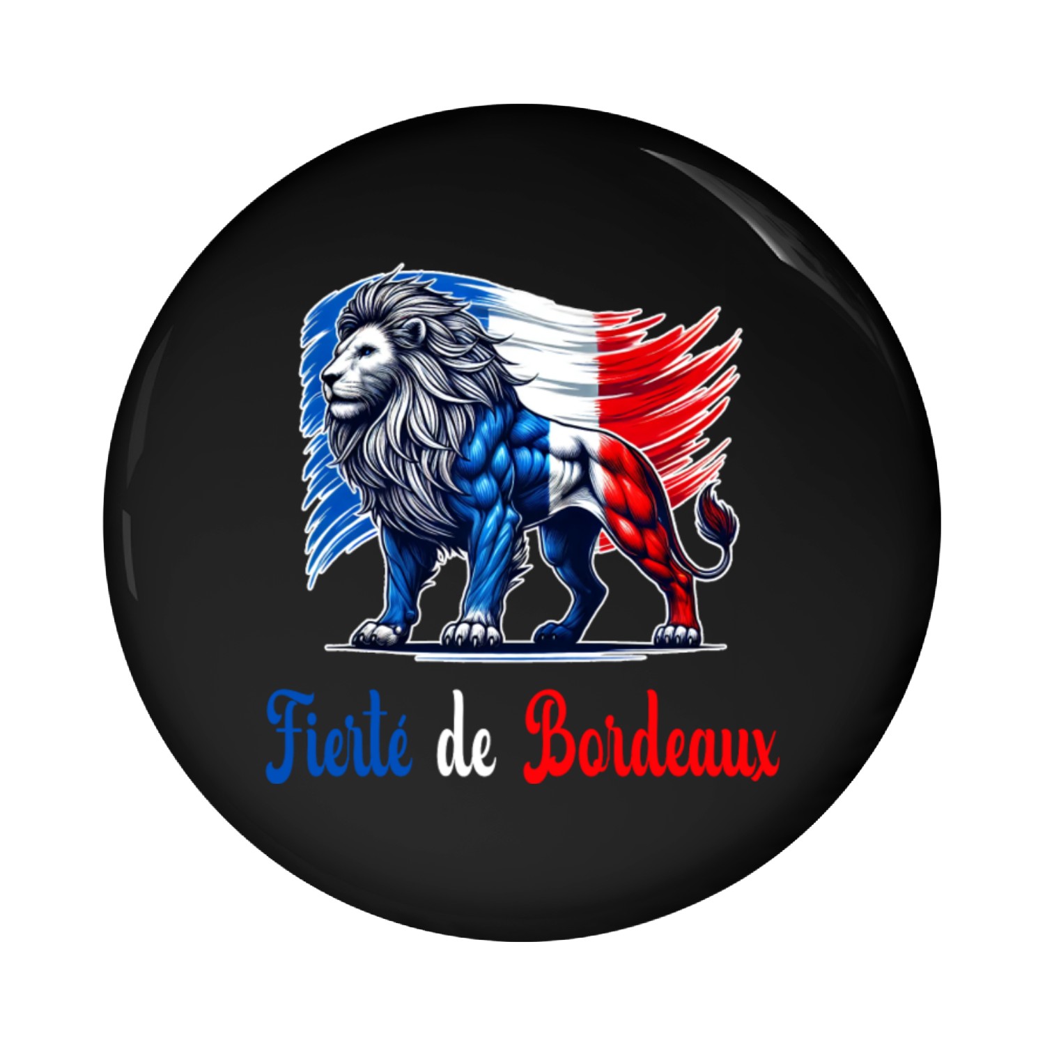 The pride Bordeaux flag design Pin Buttons