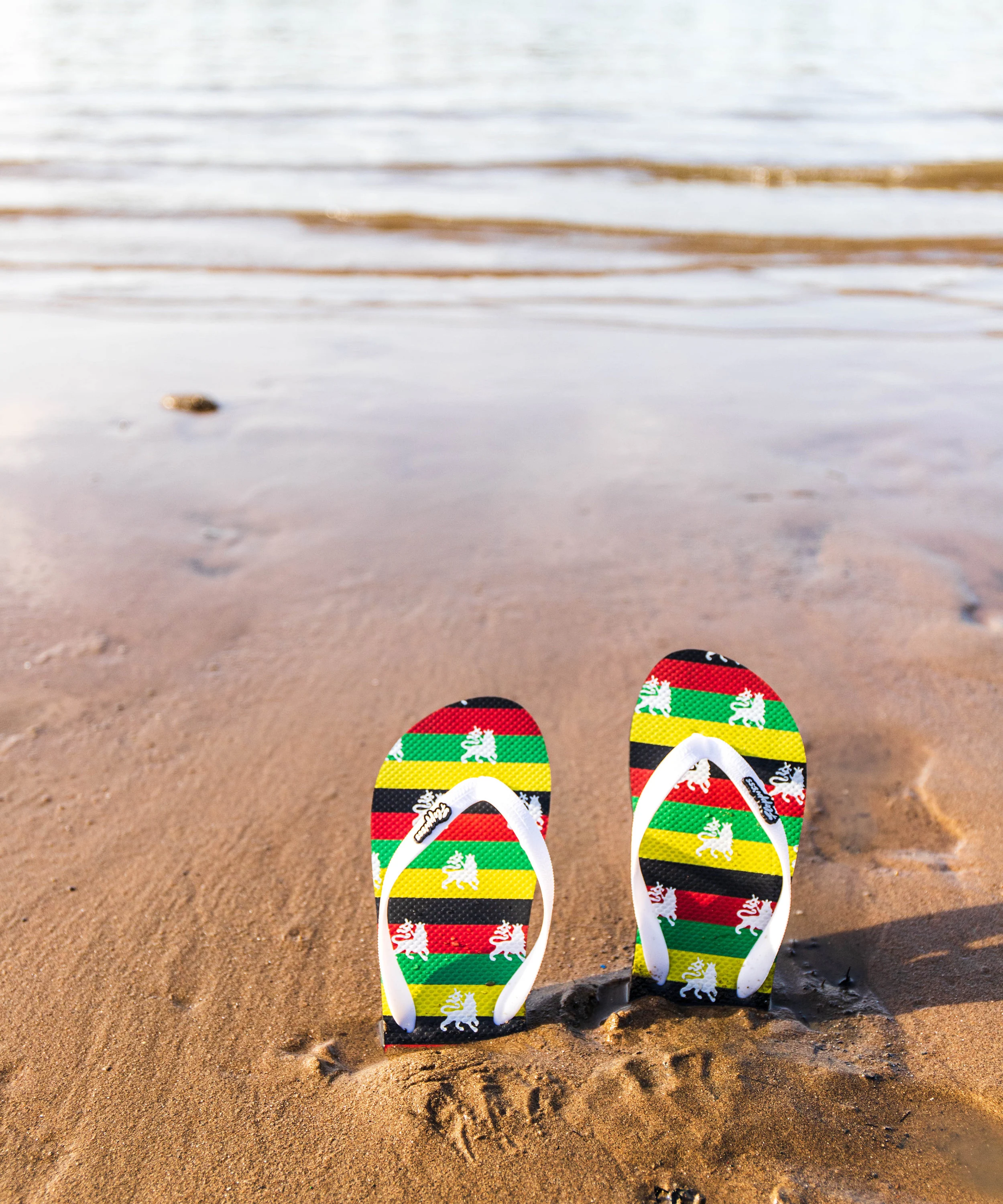 Reggae Black, Red and Green Flip flop (Indoor and street style)