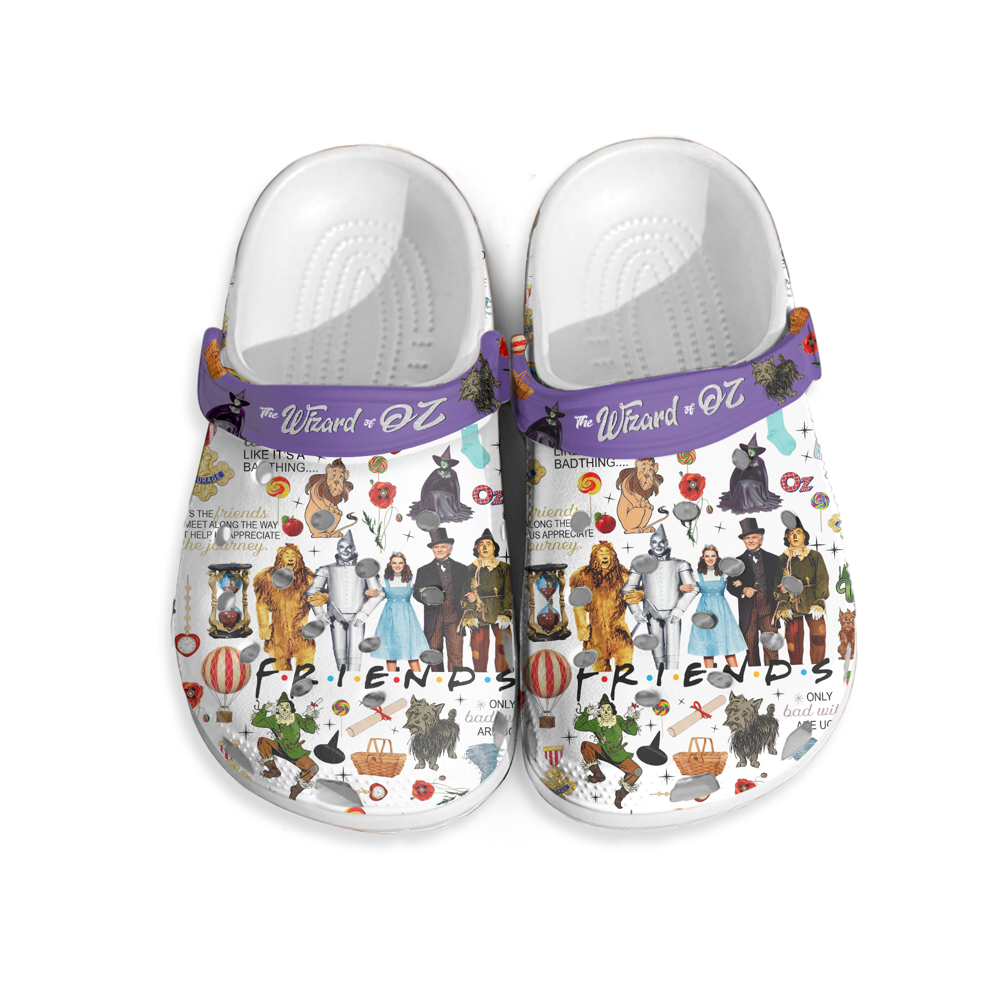 Wizard of Oz Clogs Shoes, Friends Slippers, Funny Footwear