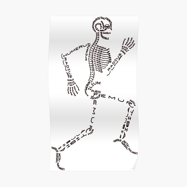 Running Skeleton Premium Matte Vertical Poster