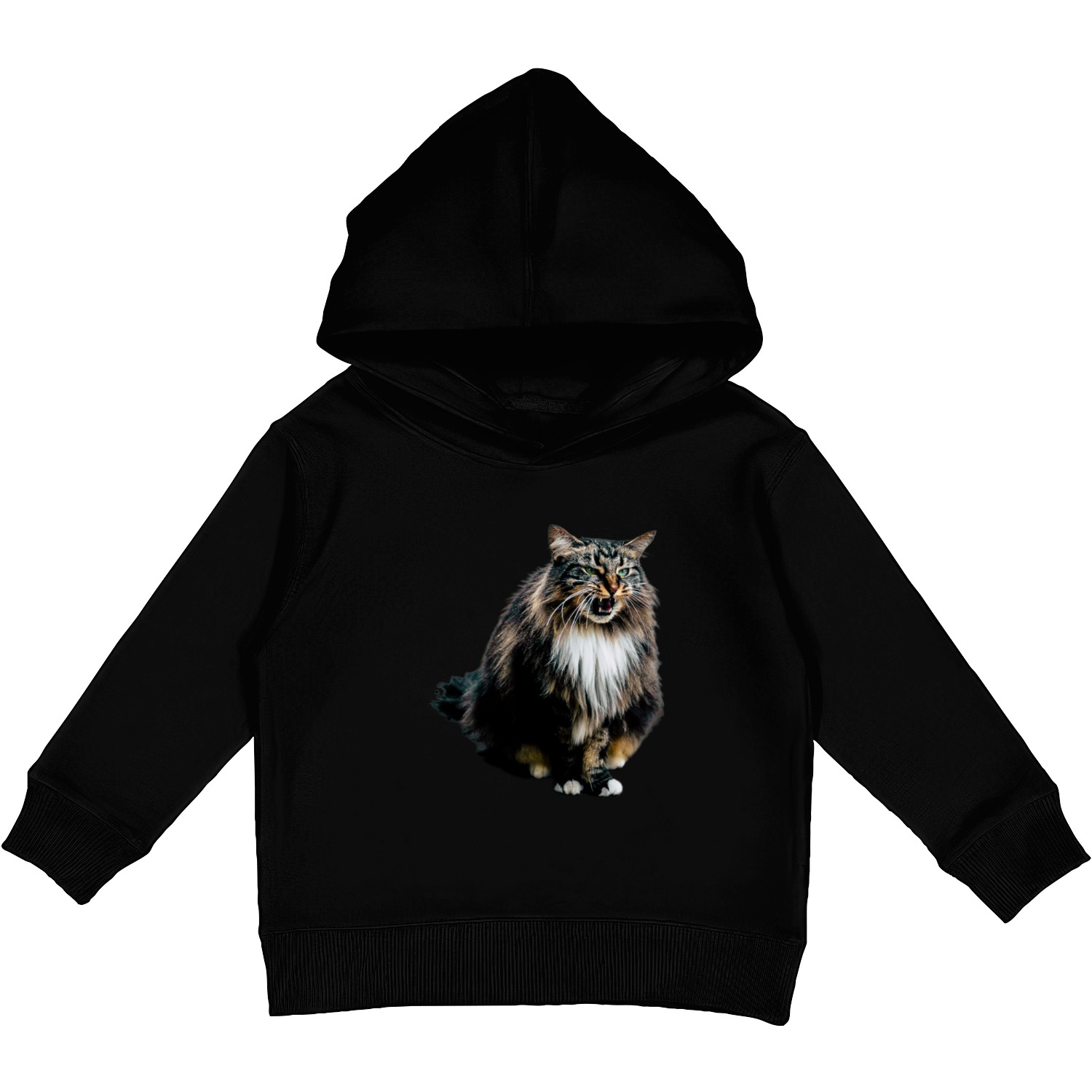 Cat Kids Pullover Hoodies