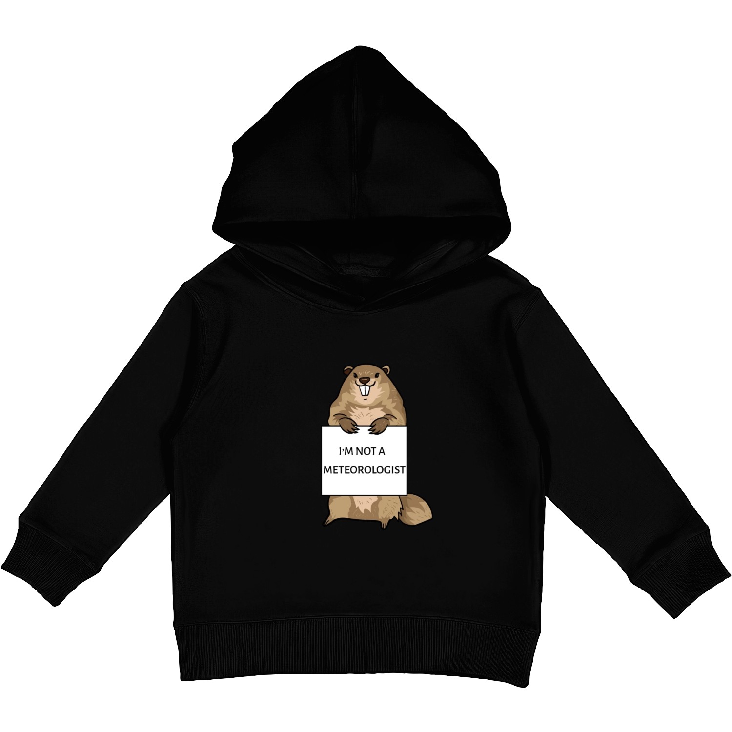 I m Not a Meteorologist Kids Pullover Hoodies