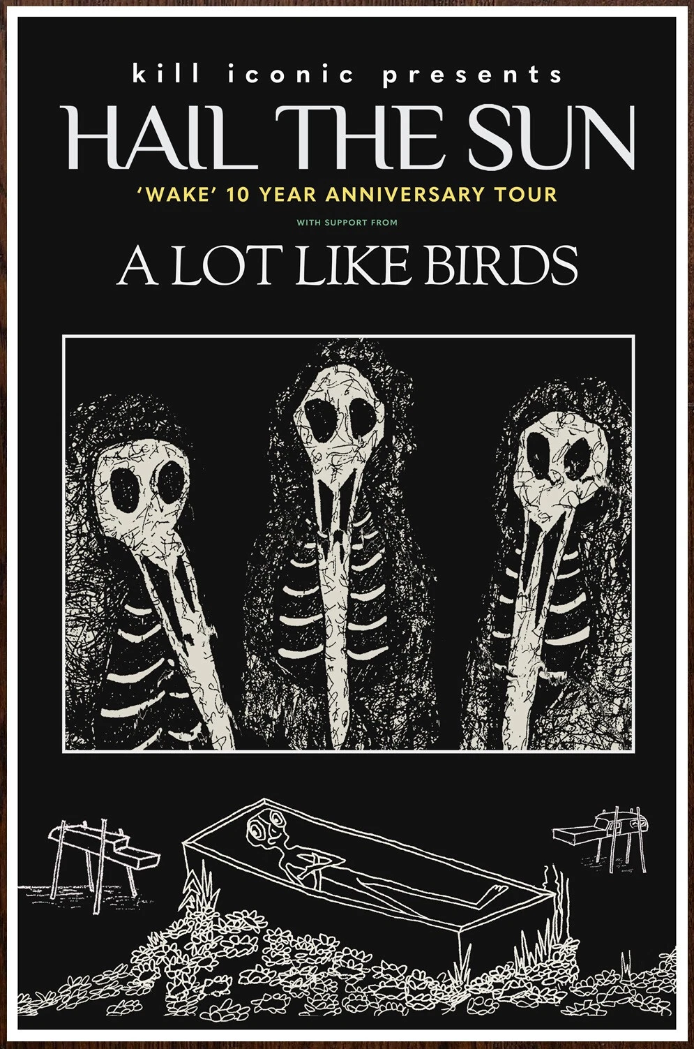 Hail the Sun A Lot Like Birds Tour 2024 Vertical Poster