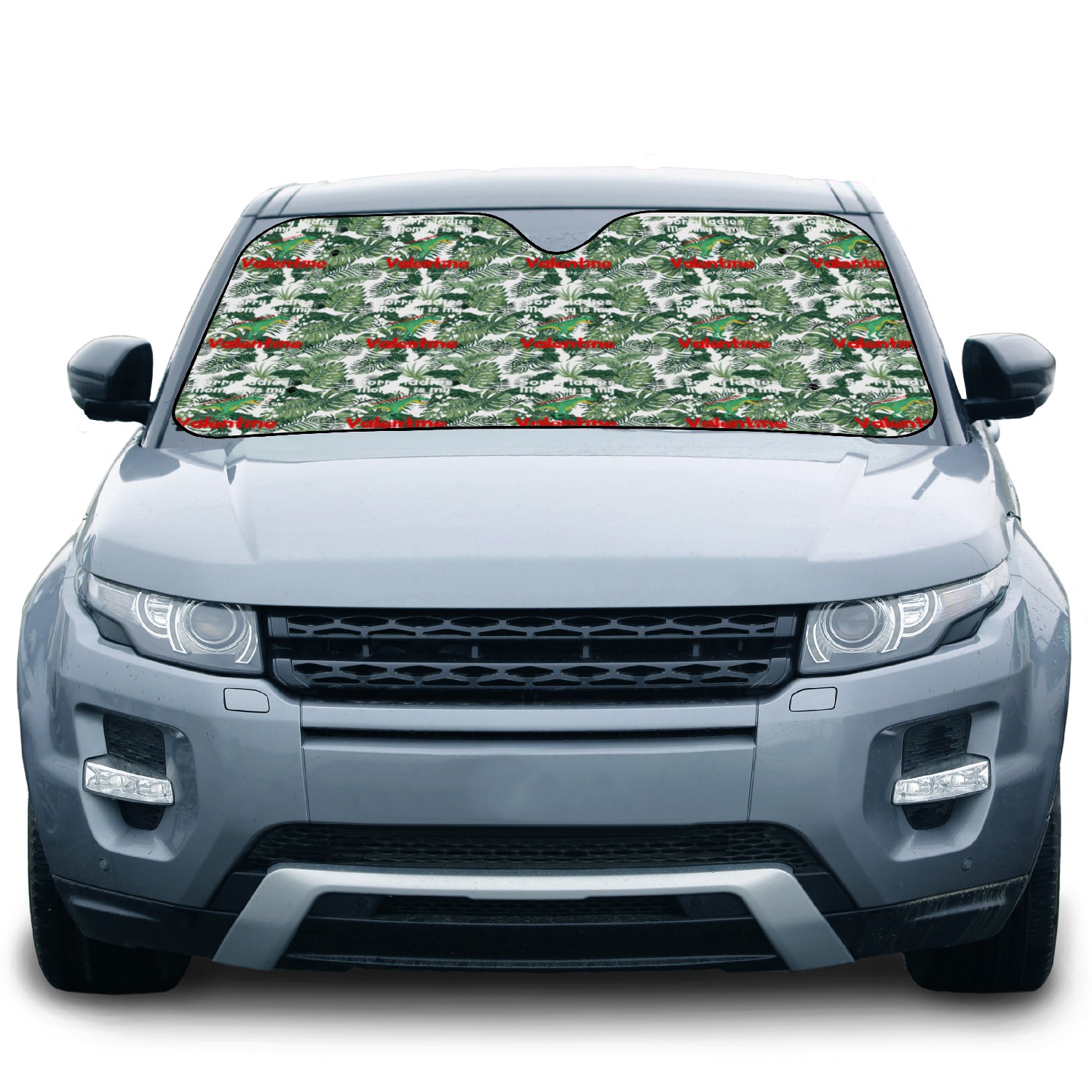 Valentines Day for Boys Kids, Sorry Ladies Mommy Car Sun Shades