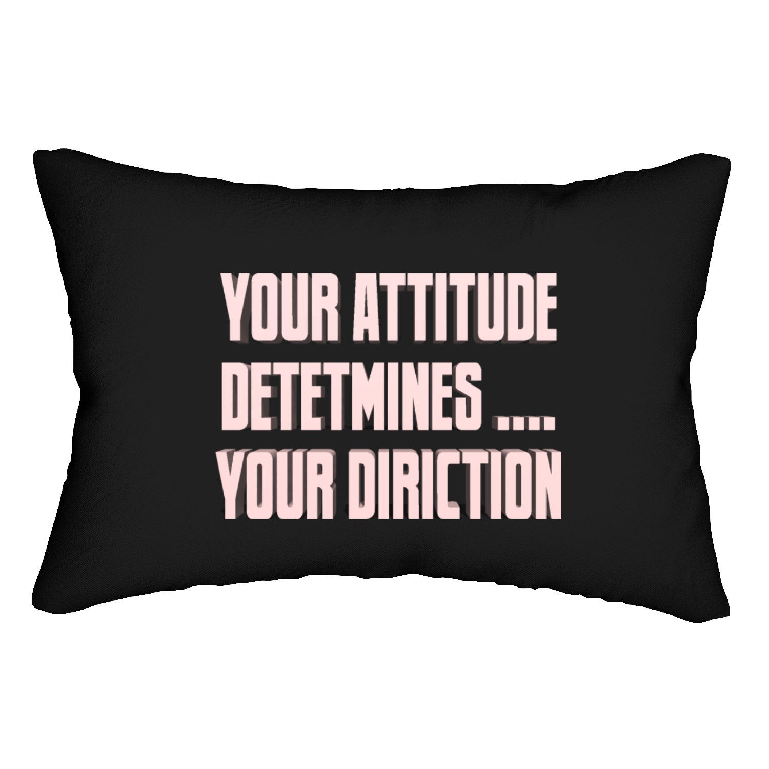 YOUR ATTITUDE DETERMINES YOUR DIRICTION Lumbar Pillows