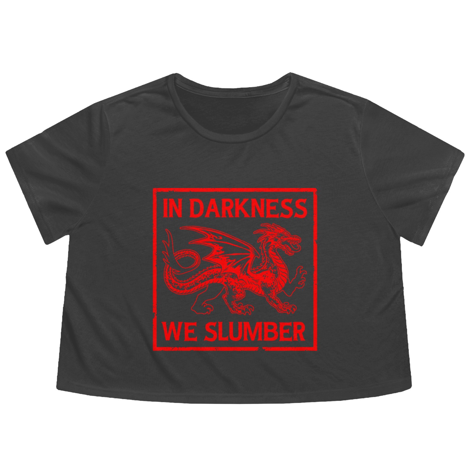 In Darkness We Slumber Flowy Cropped Tees