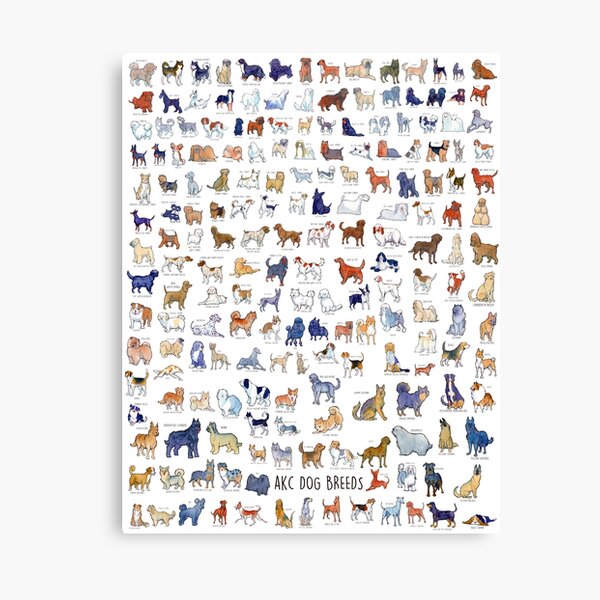 Every AKC Dog Breed Canvas