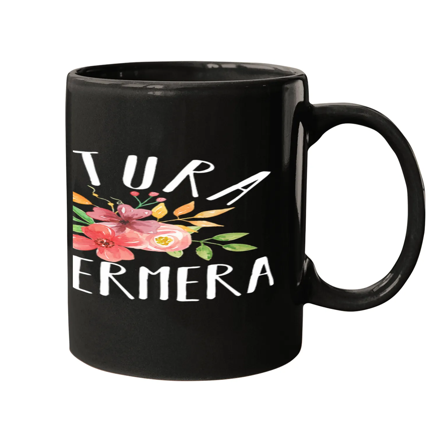 nurses Job Futura Enfermera Spanish Future nurses Mugs