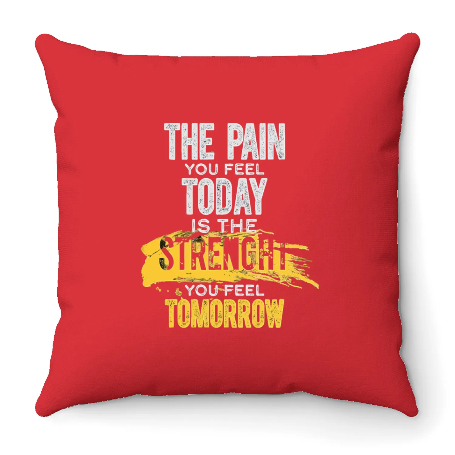 Motivational Gym Throw Pillows – The Pain You Feel Today