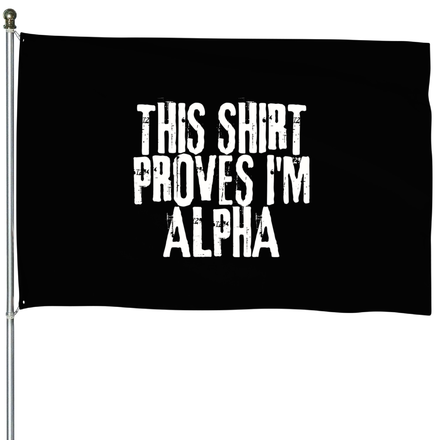 This House Flags PROVES I m ALPHA nature