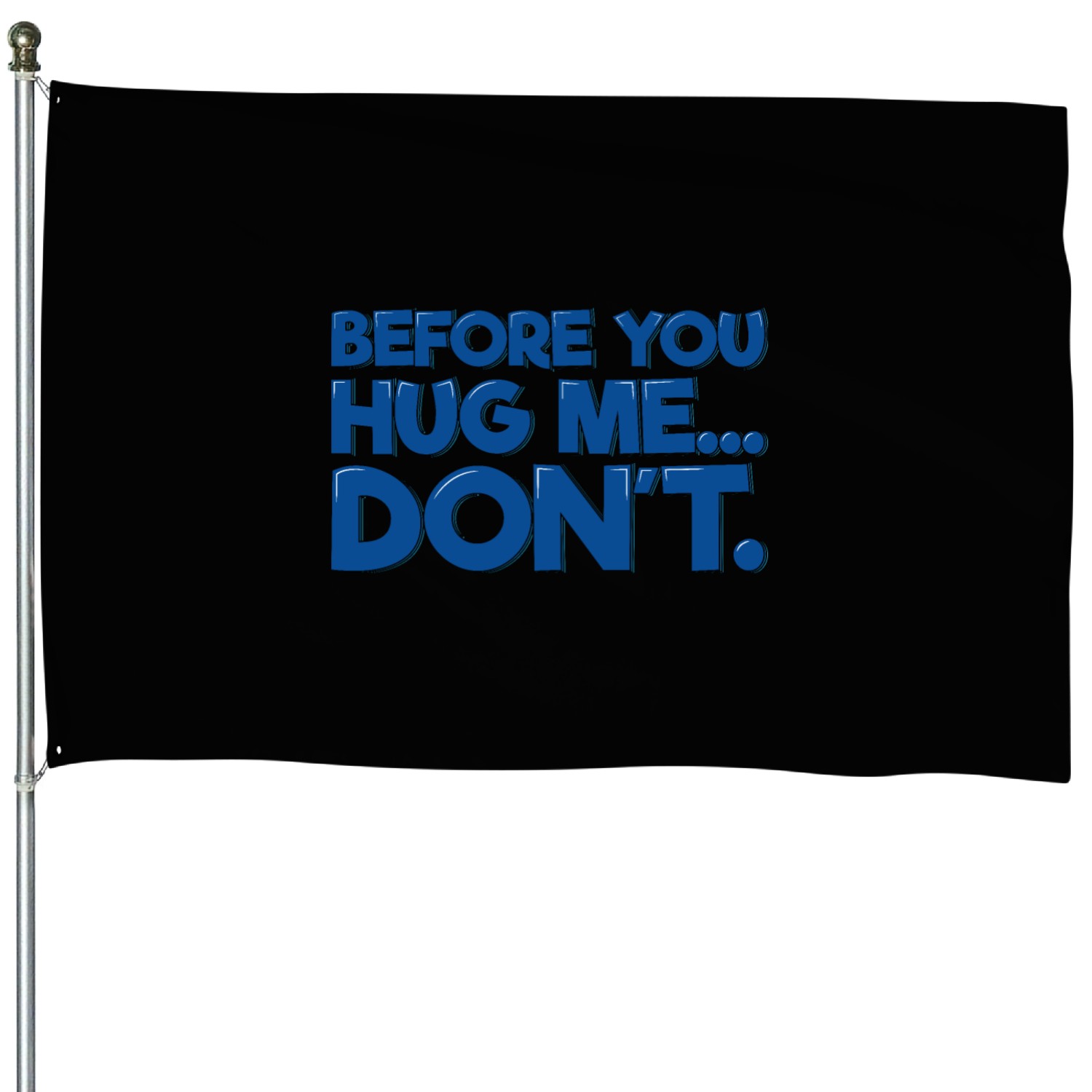 Before You Hug Me, Don't House Flags