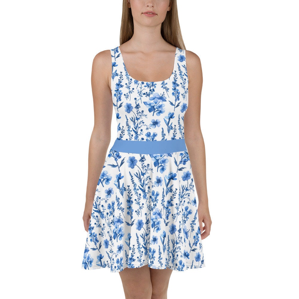 Women's French Cottage floral dress, Skater Dress, white and blue summer dress