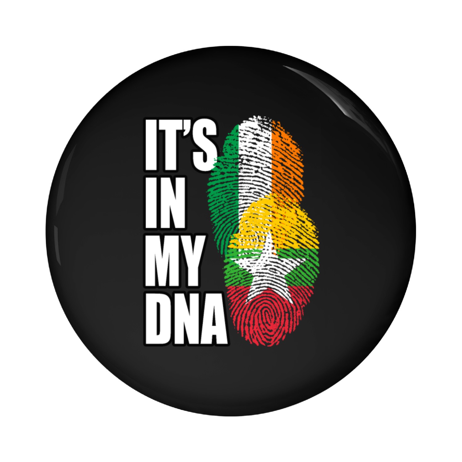 Burmese And Irish Mix Heritage DNA Flag Pin Buttons